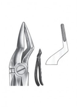 Extracting Forceps